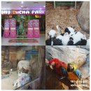 아이니알파카랜드 | 대구실내동물원 아이니테마파크 아이와 이색체험