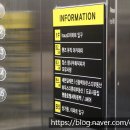 정스참나무화덕피자 이미지