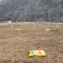 계촌농장 이미지