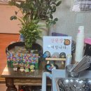 [남양주] 부모님 아이와 가기 좋은 찐 한식 '들꽃밥상' 보리밥 정식 솔직후기