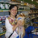 펫츠마트 이미지