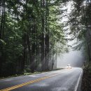 오름푸드 경북 | &#34;이번 주말 어디 가지?&#34; 고민 끝! 국내여행지 BEST 5