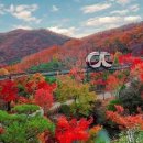 매송공원 | 수원과 근교 능소화 명소 베스트 10 초여름 주말 드라이브 가볼만한곳 인생샷 스팟 주차 데이트 코스