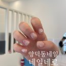 양덕동485 | 네일네로 마산 양덕동 네일에서 100프로 만족한 이달의네일