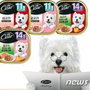 해마루스튜디오