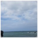 청수 곶자왈 | 제주 6월 축제 한경면 청수 곶자왈 제주 반딧불이 축제 기본 정보 공유 (6월8일 ~ 7월 7일)