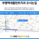 부평백세플란트치과의원 이미지