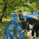 영광군청 이미지