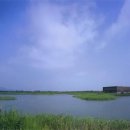 부산야생동물치료센터 이미지