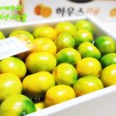 정숙 농장 이미지