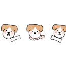 오정모터스 이미지