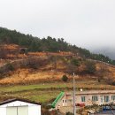 청산진성 이미지