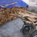 선녀와 나뭇꾼 이미지