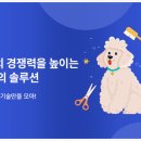 레인솔루션
