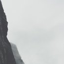 인술농장 이미지