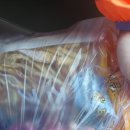 성신여대역 2번출구 이미지