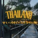 호텔25시 | 자유여행 방크라차오 현지인 이색가족숙소 추천 톡파원 25시 방콕 트리하우스 Bangkok Tree House 후기