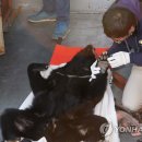 웅담2농장 이미지