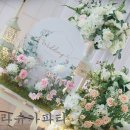 슈가파티 이미지