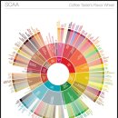 커피바리스타B 이미지