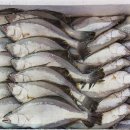 사천상회 이미지