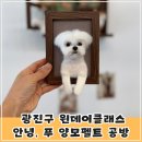 자수자격증반 | 광진구공방 강아지 양모펠트 미니액자 원데이클래스! &lt;안녕, 푸 양모펠트공방&gt;