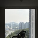 포레뷰2차 | 구미원호자이더포레 2탄 무몰딩 우물천장 간접조명 만드는방법(직각버전 라운드버전)
