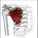 몸짱만들기GYM 이미지