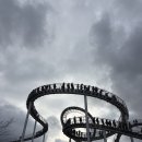 씨스페이스 대전용전점 | 눈치 보지 말고 운치 있게 살자