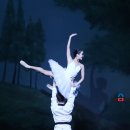 비바츠LED 태권발레 이미지