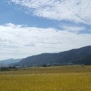 장흥 달바위펜션 이미지