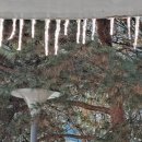 가람11단지 버스정류장 이미지