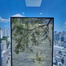 셀프 태양광발전소 이미지