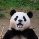 오각형입 세자매 푸루후💛💜🩷 이미지