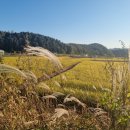 (주)남영전기 이미지