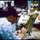 마멘치사우루스 이미지