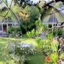 가평힐링캠프 이미지