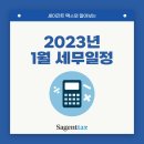 세이전트택스
