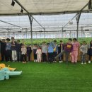 한국대룡태권도 이미지