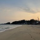 그로브동산