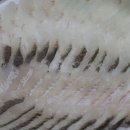 영해식당 이미지