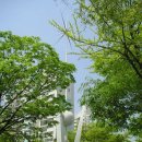 서울 보라매공원과 옛 공군사관학교 이미지