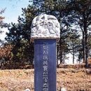 장영실로 이미지