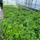 재열농장 이미지