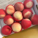 에덴농장2 이미지