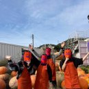 호인목장 이미지