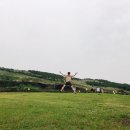 샵살레네