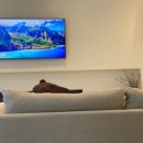 박앤박정신건강의학과의원 이미지