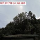 설천면116 네이버블로그