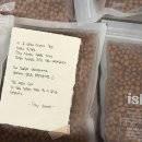 이노네